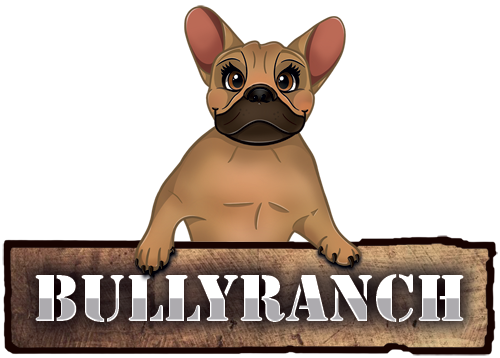 Bullyranch discount codes