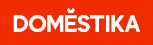 Domestika discount codes