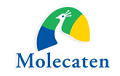 Molecaten discount codes