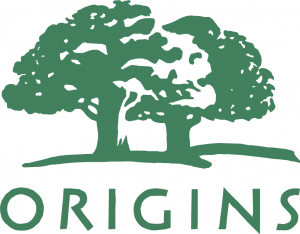 Origins discount codes